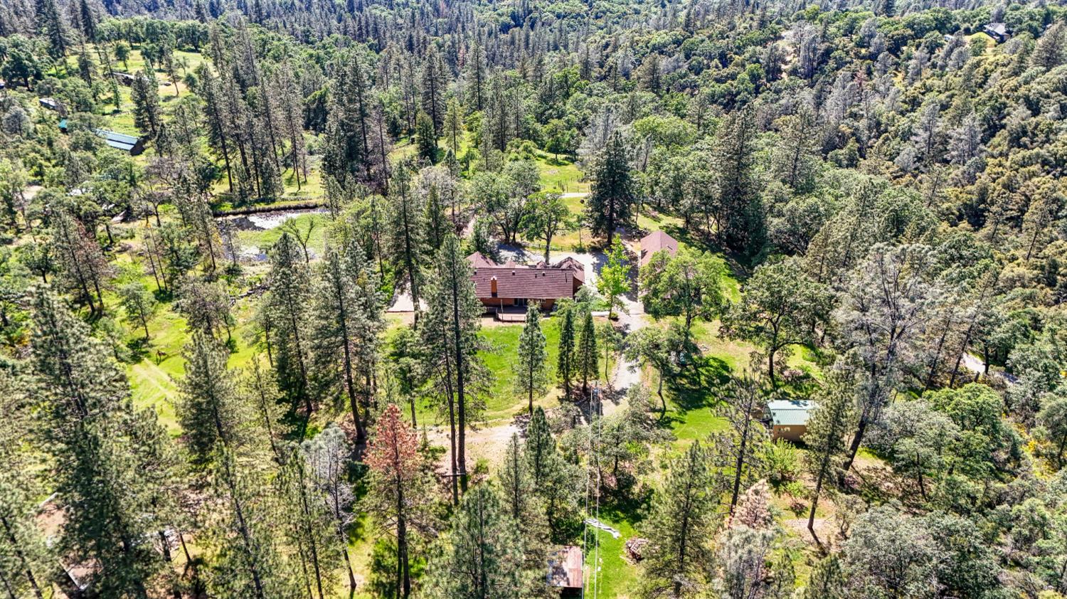 5215 Faraway Road Greenwood, CA 95635 - Photo 26 of 46 drone / aerial view of a heavily wooded area