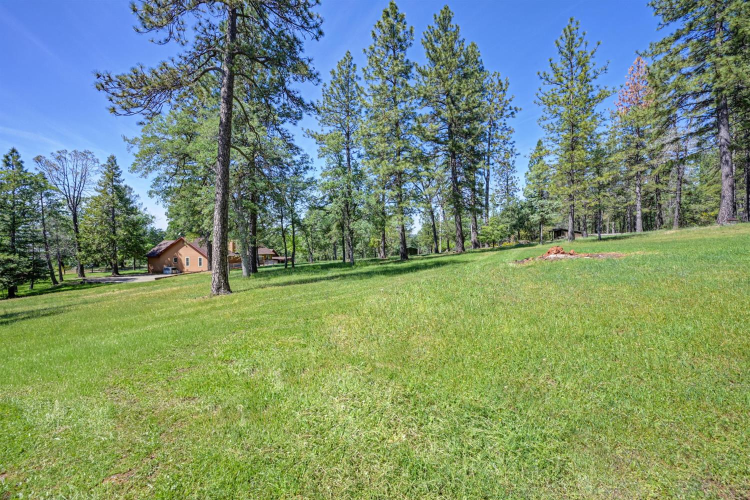 5215 Faraway Road Greenwood, CA 95635 - Photo 28 of 46 view of grassy yard featuring view of scattered trees