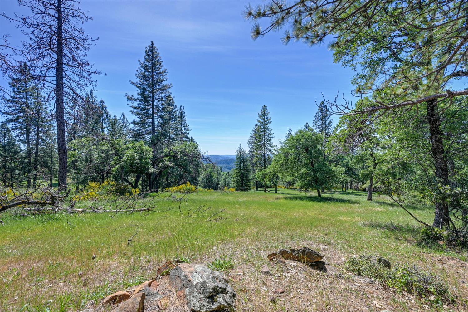 5215 Faraway Road Greenwood, CA 95635 - Photo 3 of 46 view of yard