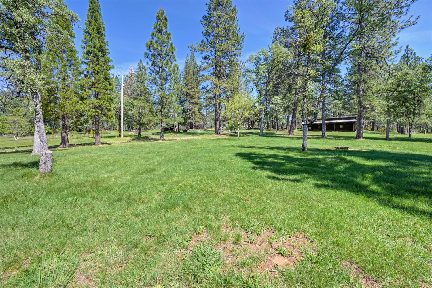 5215 Faraway Road Greenwood, CA 95635 - Photo 33 of 46 view of grassy yard with view of scattered trees