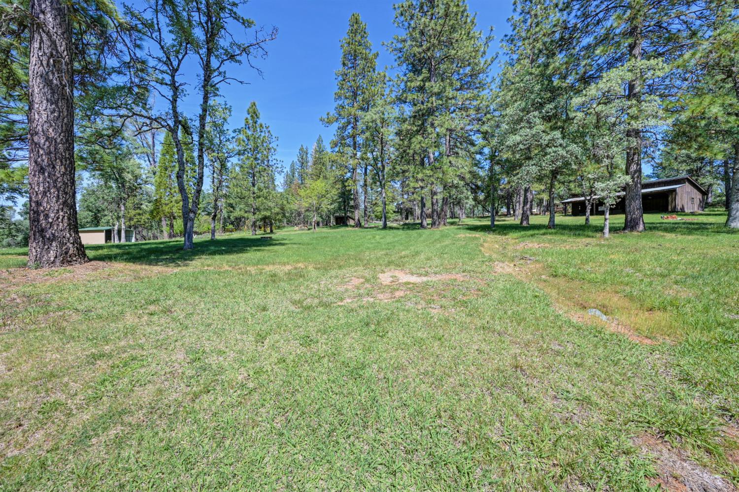 5215 Faraway Road Greenwood, CA 95635 - Photo 34 of 46 view of green lawn with view of wooded area
