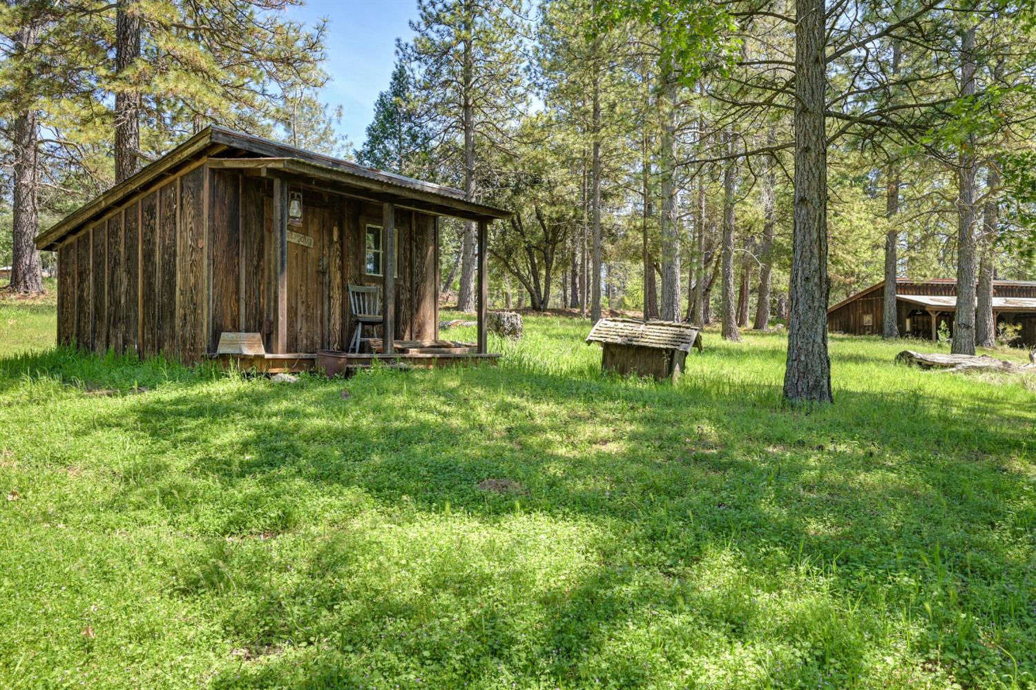 5215 Faraway Road Greenwood, CA 95635 - Photo 35 of 46 view of grassy yard featuring a storage shed