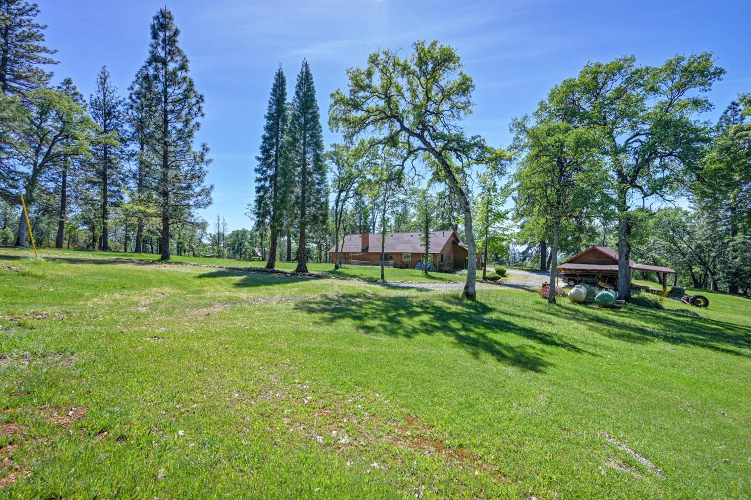 5215 Faraway Road Greenwood, CA 95635 - Photo 37 of 46 view of green lawn with view of scattered trees