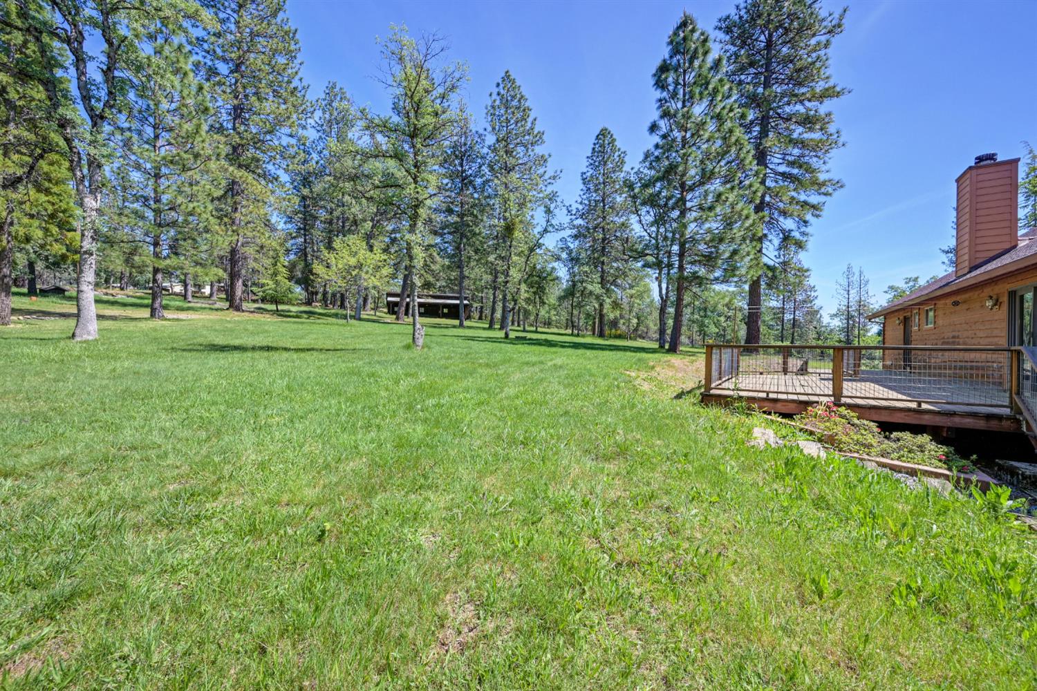 5215 Faraway Road Greenwood, CA 95635 - Photo 42 of 46 view of green lawn featuring a deck and view of scattered trees