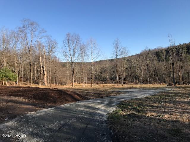 5 Blossom Road Lackawaxen, PA 18435 - Photo 2 of 26