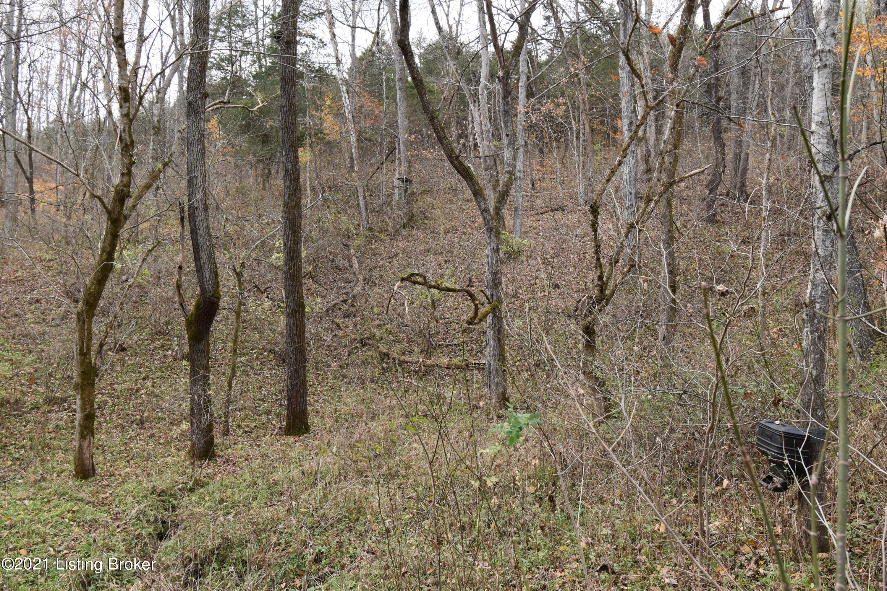0 Prather Ridge Road Willisburg, KY 40078 - Photo 15 of 20 14