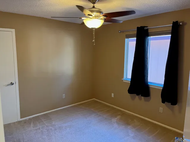 a bathroom with a shower and a toilet