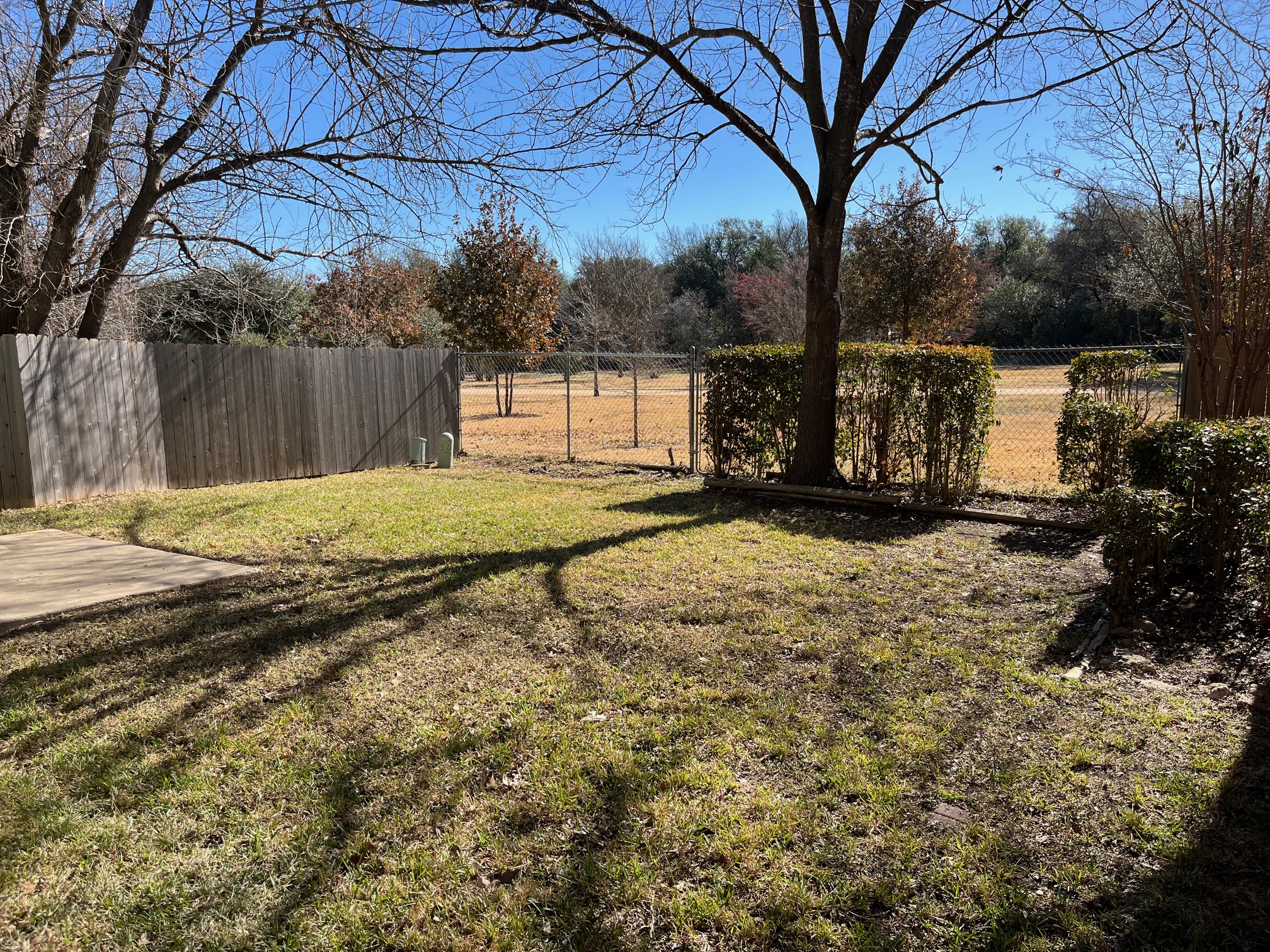 12919 Marimba Trail Austin, TX 78729 - Photo 5 of 20 View of fenced backyard