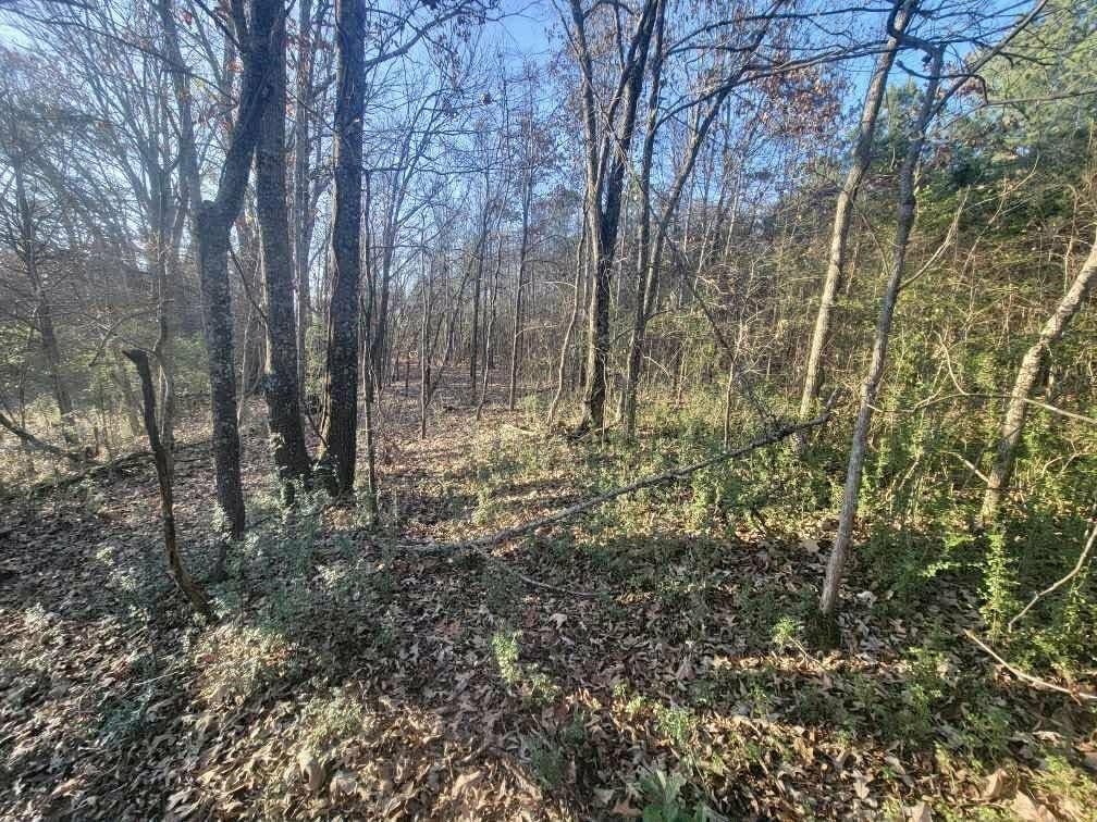 Kay Lane Somerville, TN 38068 - Photo 13 of 19