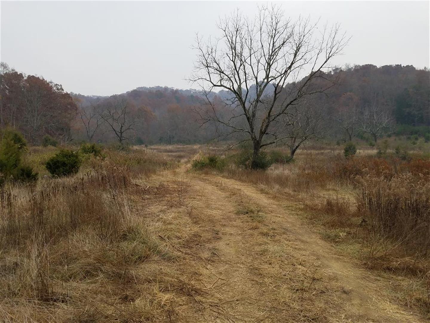 104-acres Rocky Springs Road Bean Station, TN 37708 - Photo 3 of 35 20161123_132644