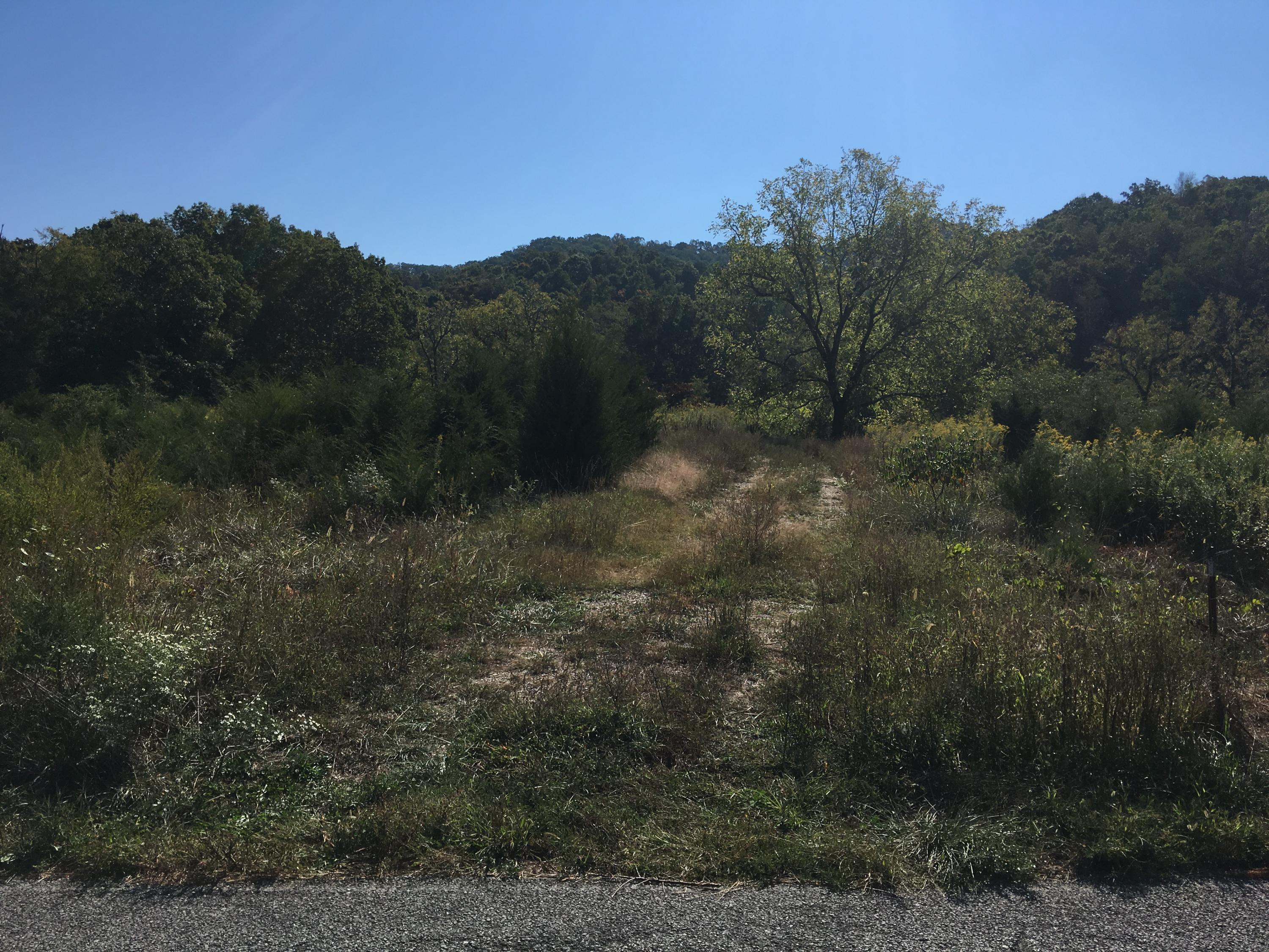104-acres Rocky Springs Road Bean Station, TN 37708 - Photo 21 of 35 land lays great