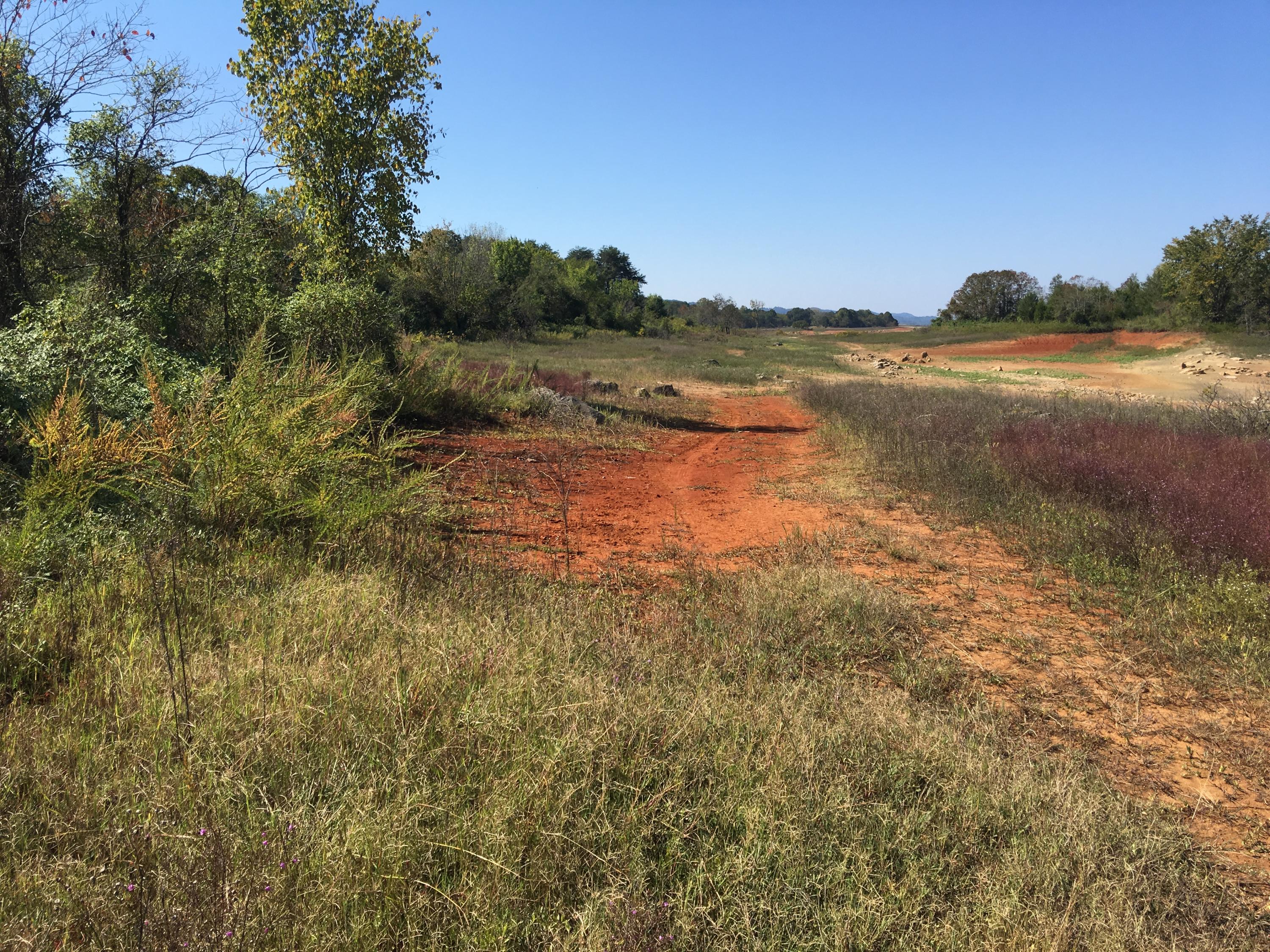 104-acres Rocky Springs Road Bean Station, TN 37708 - Photo 29 of 35 level lakefront