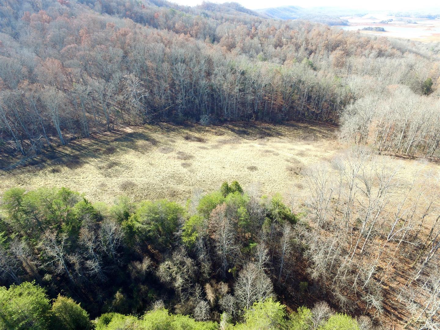 104-acres Rocky Springs Road Bean Station, TN 37708 - Photo 8 of 35 DJI_0038