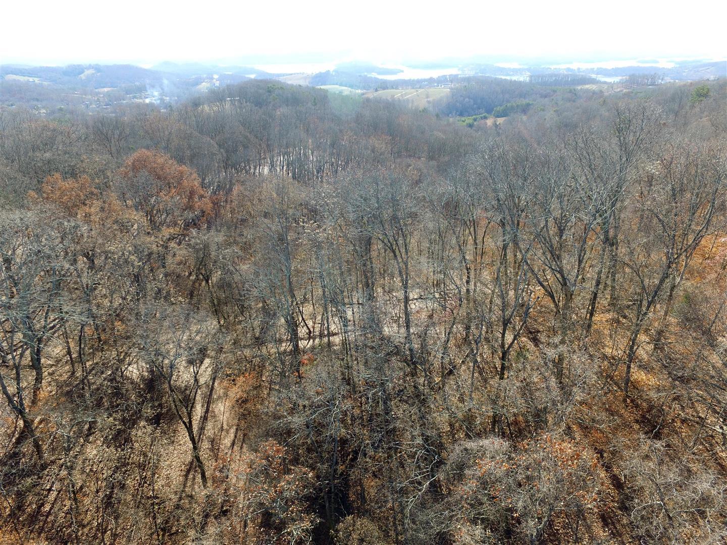 104-acres Rocky Springs Road Bean Station, TN 37708 - Photo 9 of 35 DJI_0055