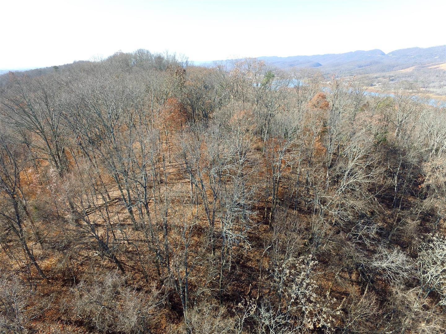 104-acres Rocky Springs Road Bean Station, TN 37708 - Photo 10 of 35 DJI_0057