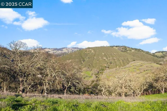 a view of a dry yard with mountains in the background