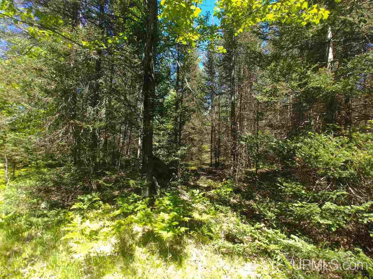 80-acres County Rd FFH Ishpeming, MI 49849 - Photo 19 of 28