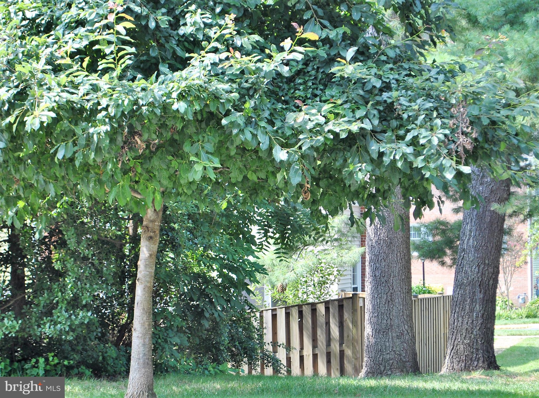 5441 Calvin Court Springfield, VA 22151 - Photo 15 of 40 Gallery Image 15