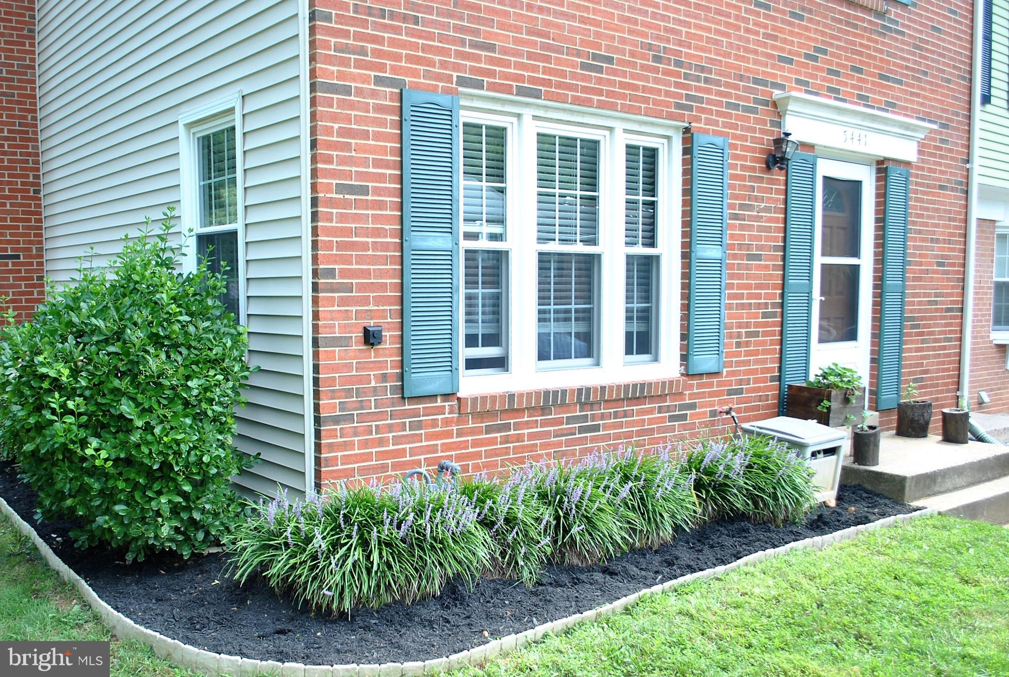 5441 Calvin Court Springfield, VA 22151 - Photo 5 of 40 Nice Plants