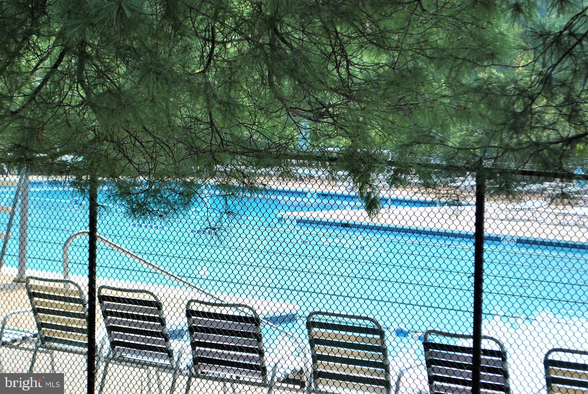 5441 Calvin Court Springfield, VA 22151 - Photo 6 of 40 Very Large Pool Facility
