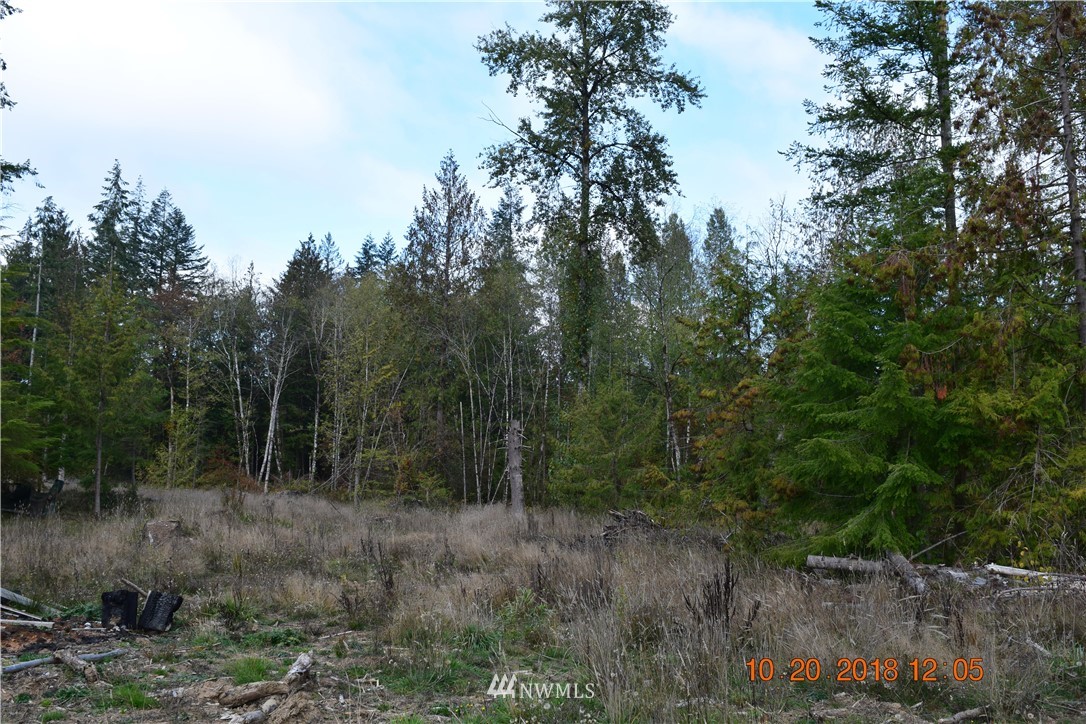 3 Logan Hill Road Chehalis, WA 98532 - Photo 1 of 3