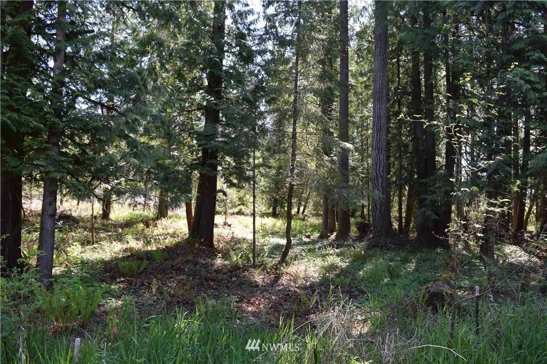 3 Logan Hill Road Chehalis, WA 98532 - Photo 2 of 3
