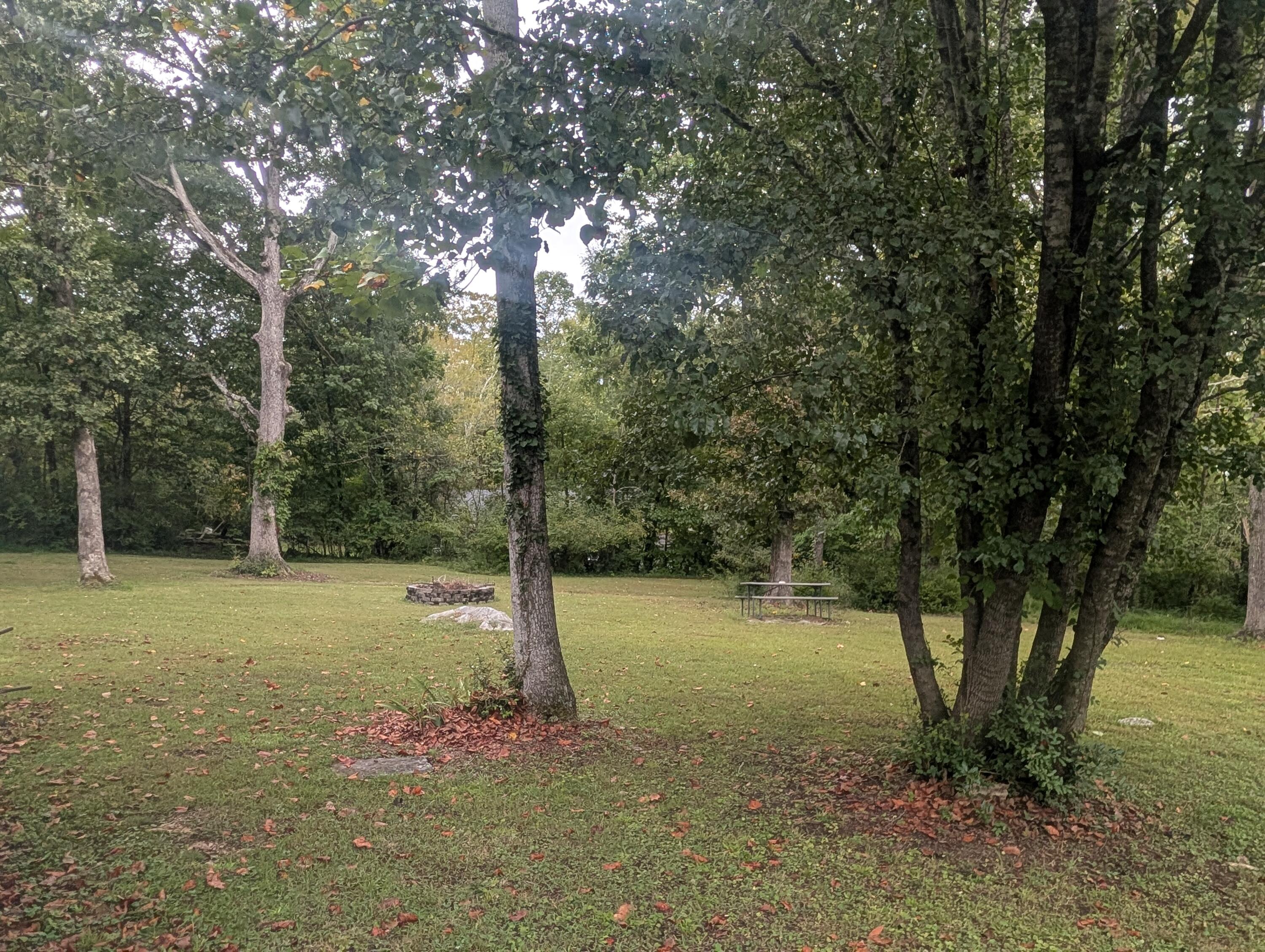 341 Vermont Avenue Oak Ridge, TN 37830 - Photo 68 of 79 PXL_20260924_182930360.RAW-01