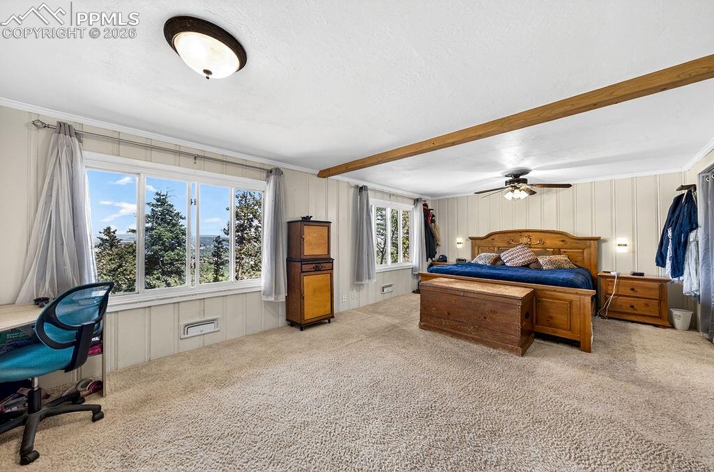 3785 Overlook Road Colorado Springs, CO 80906 - Photo 25 of 45 Gallery Image 25