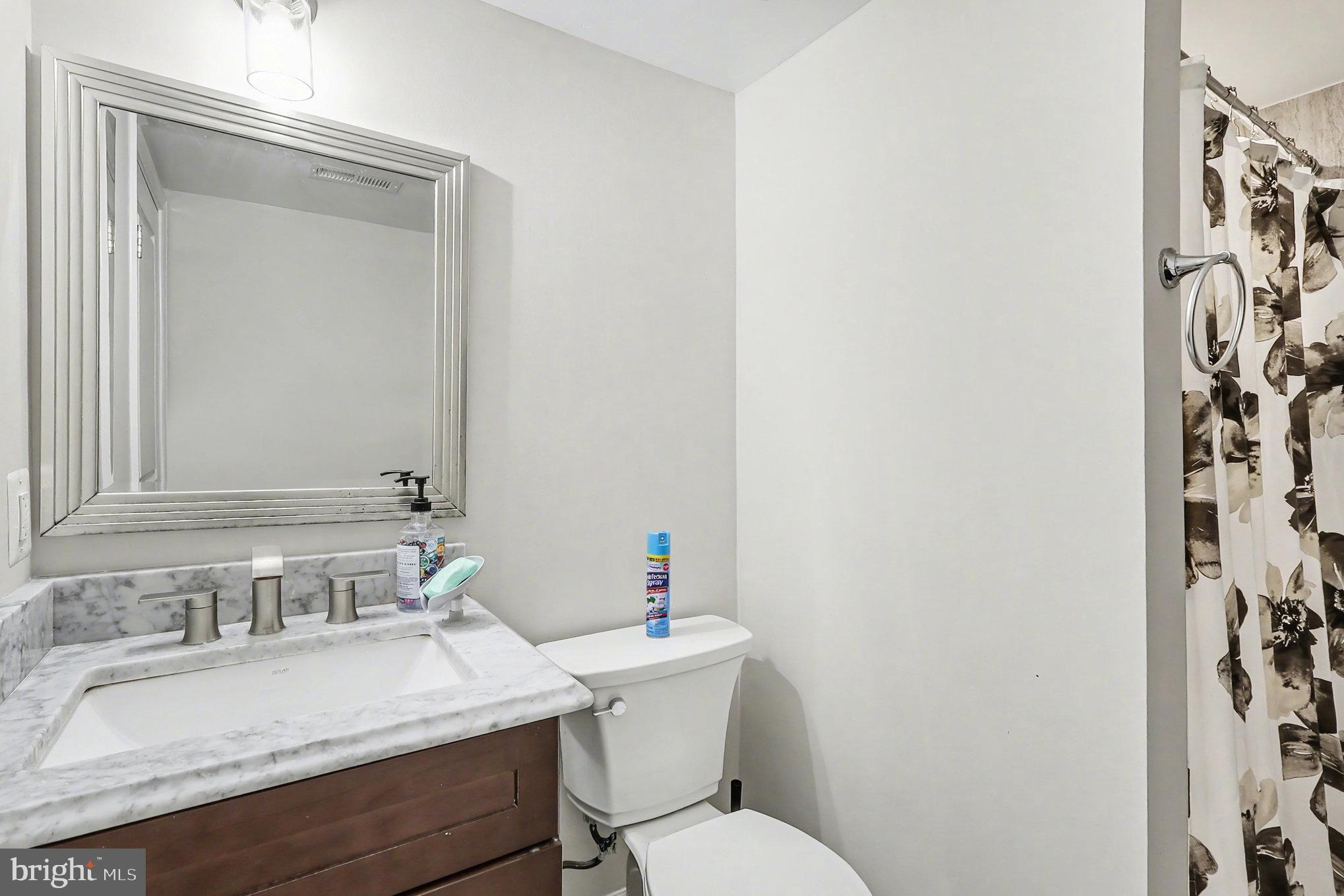 16600 Bald Eagle School Road Brandywine, MD 20613 - Photo 10 of 29 a bathroom with a sink and a toilet