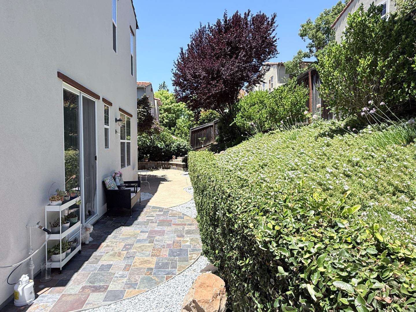 2245 Maidenhair Way San Ramon, CA 94582 - Photo 25 of 25