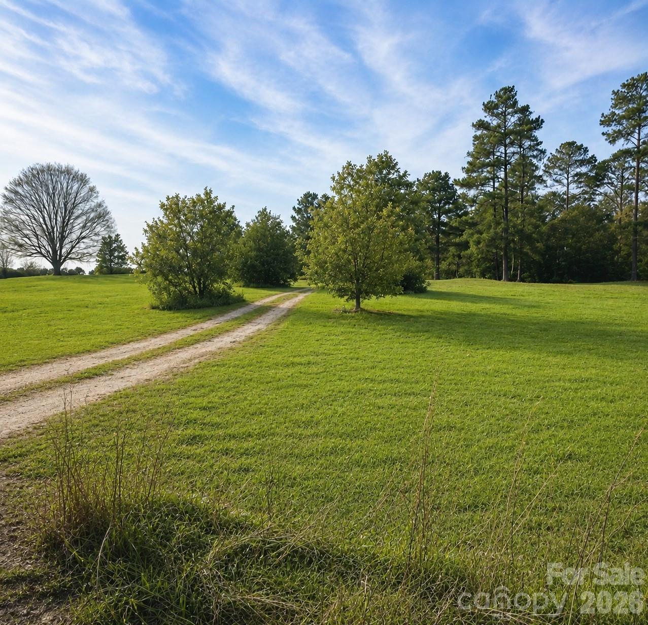 678 Old Stage Road Edgefield, SC 29824 - Photo 2 of 6