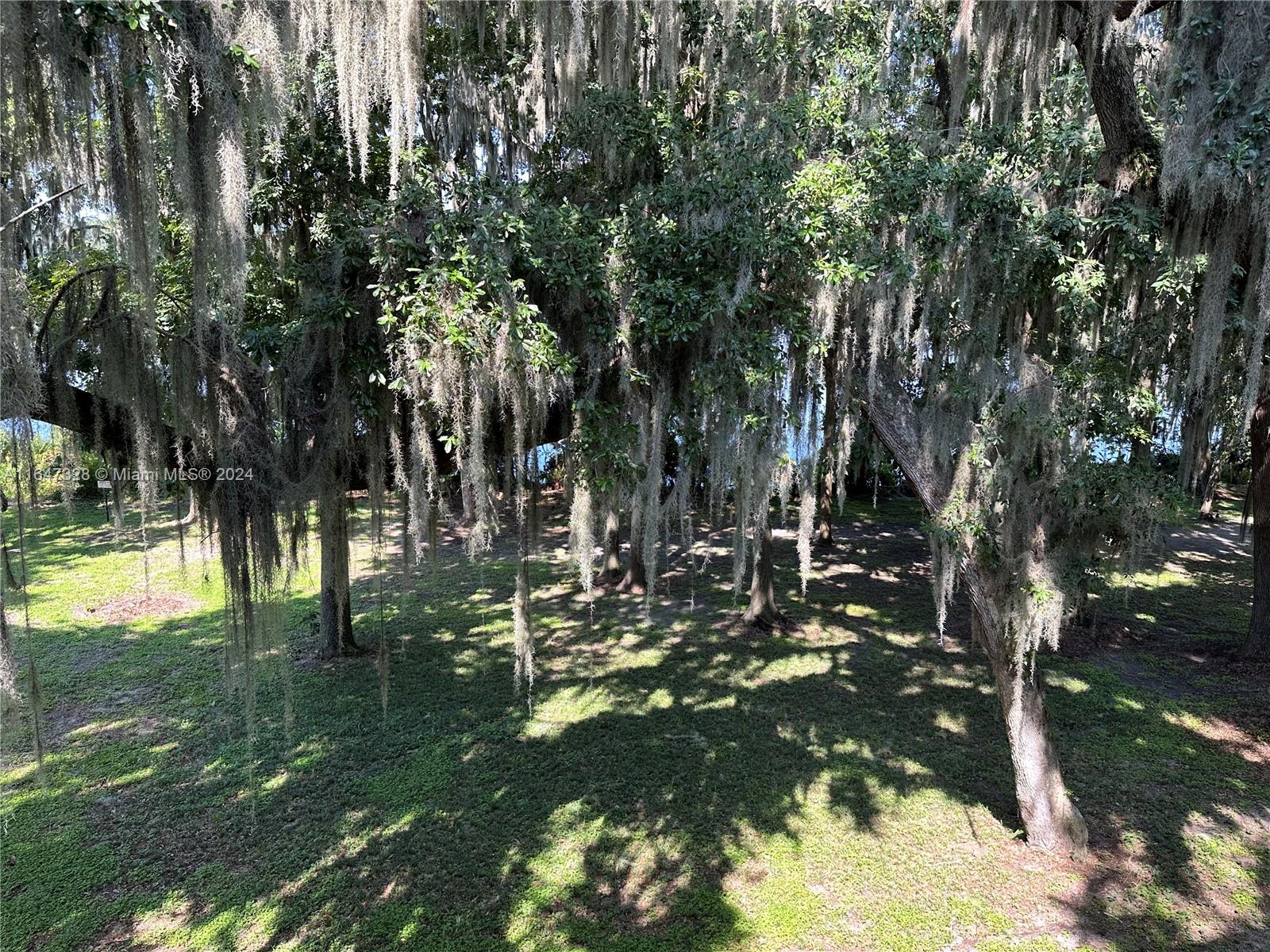 2816 Southwest 14th Drive, Unit 2816 Gainesville, FL 32608 - Photo 11 of 14 a view of outdoor space with a lake view