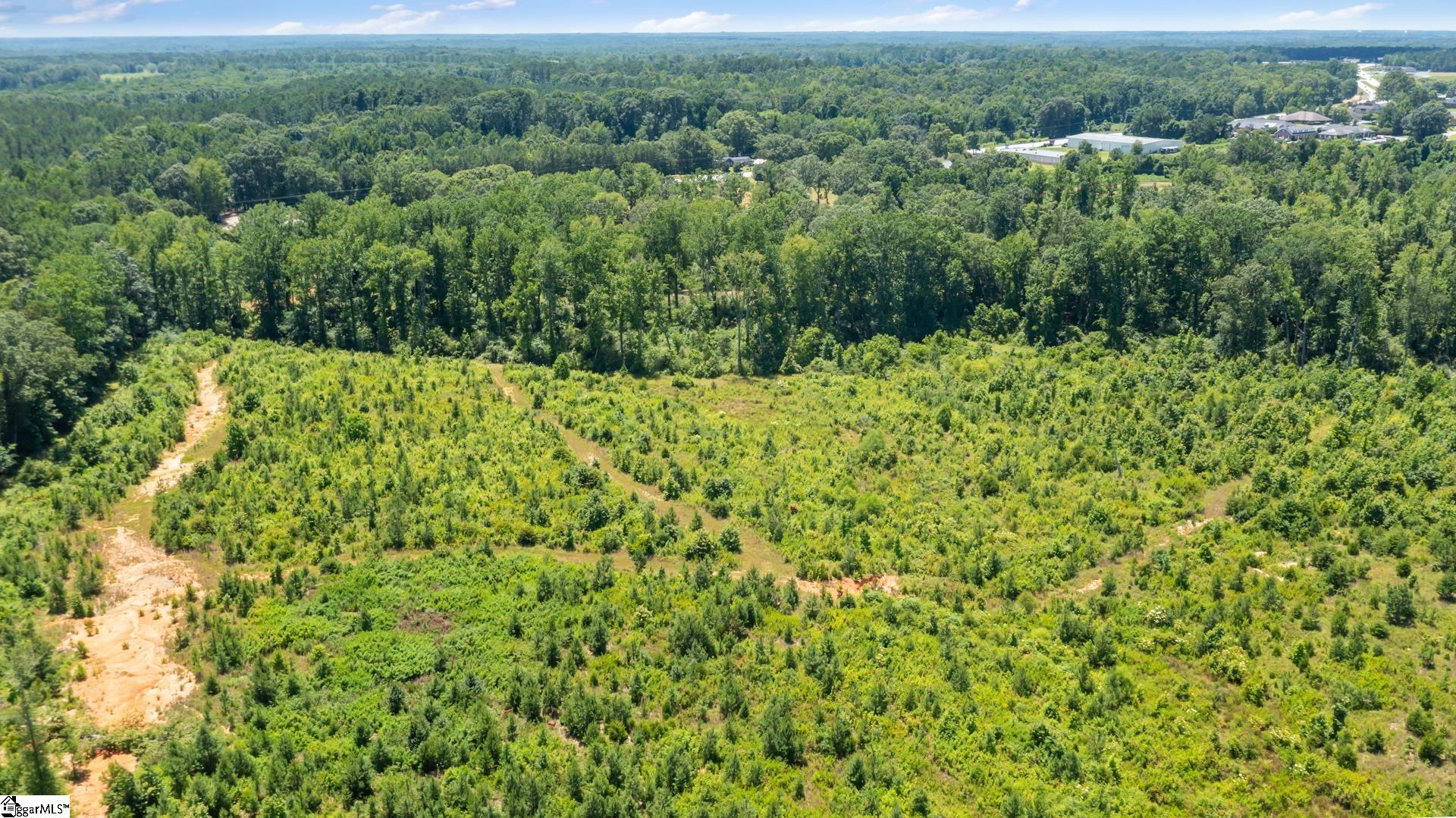 23425 Highway 76 Clinton, SC 29325 - Photo 19 of 50