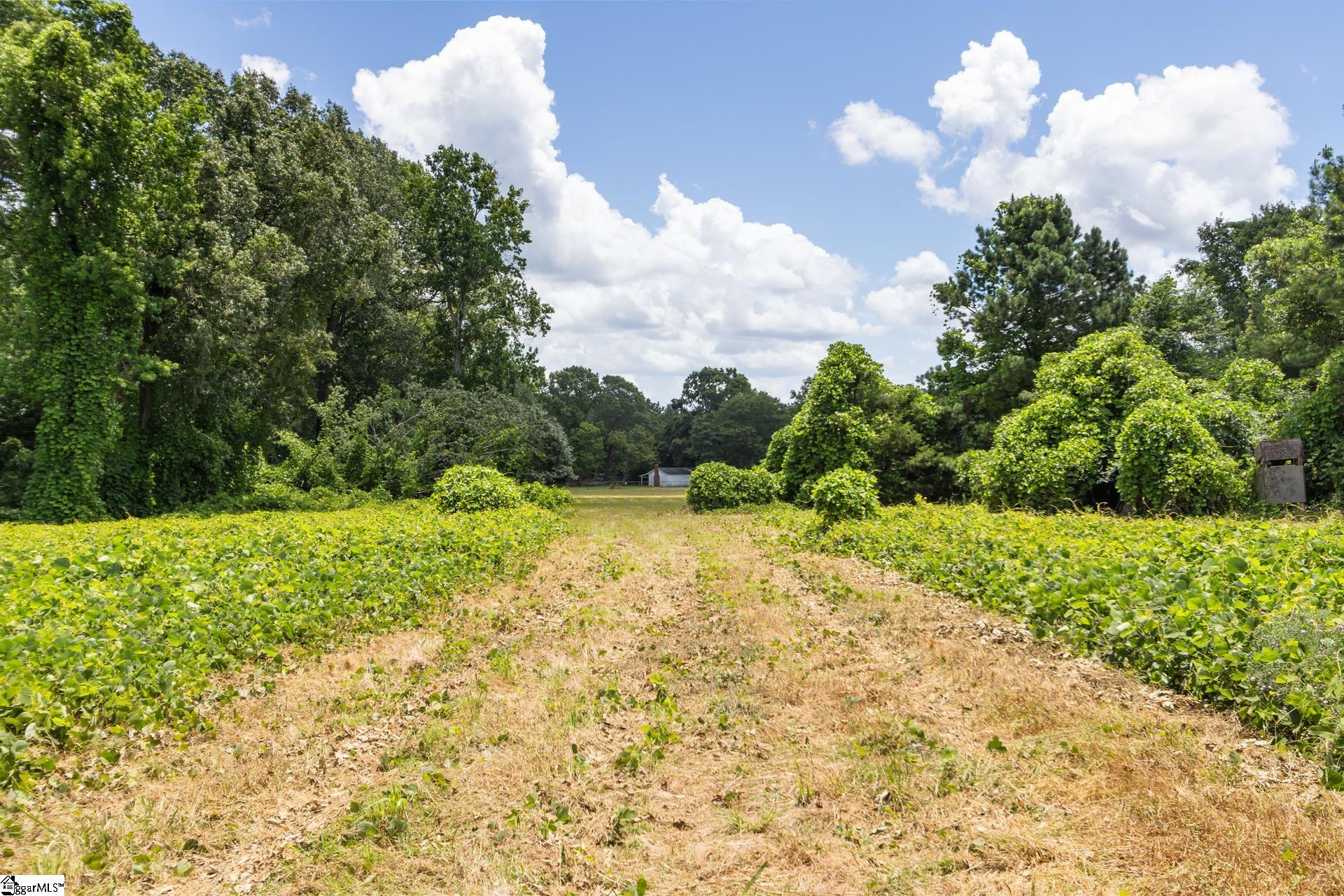 23425 Highway 76 Clinton, SC 29325 - Photo 37 of 50