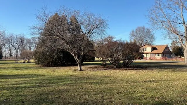 a view of a yard with a trees
