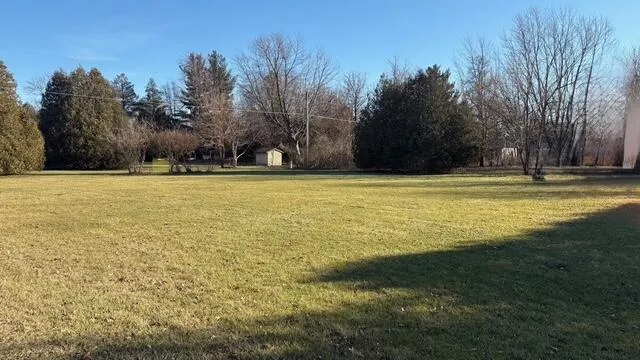 a view of a swimming pool and trees in the background