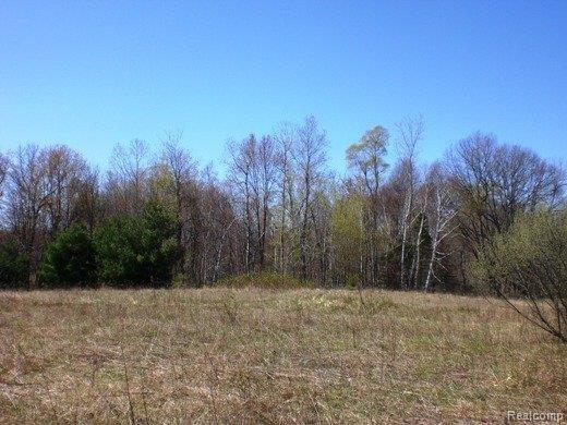 Vacant Gerst Road Leonard, MI 48367 - Photo 11 of 13 So much Peacefulness!