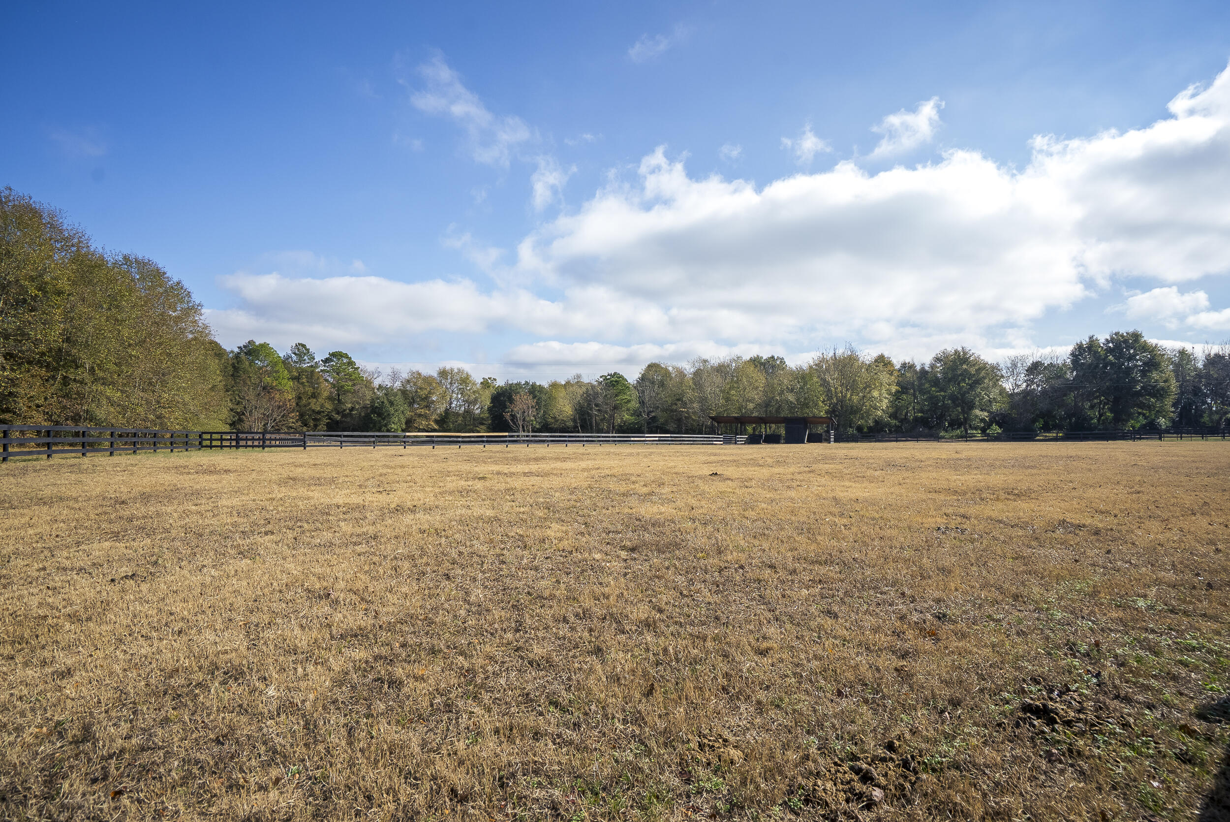 2300 Salley Road Salley, SC 29137 - Photo 81 of 89
