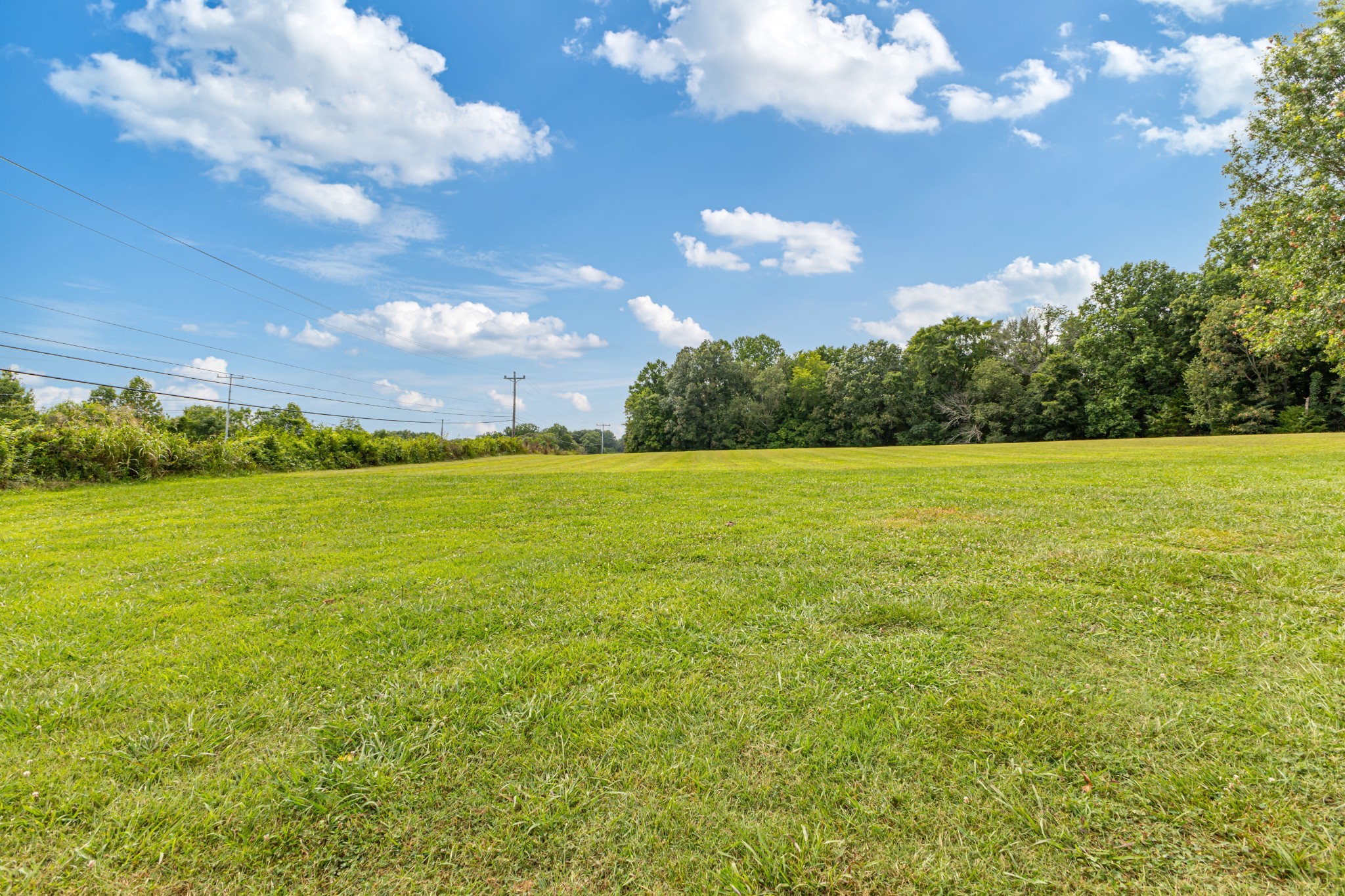 6150 Highway 41 A Pleasant View, TN 37146 - Photo 20 of 34 a view of a big yard with lots of green space