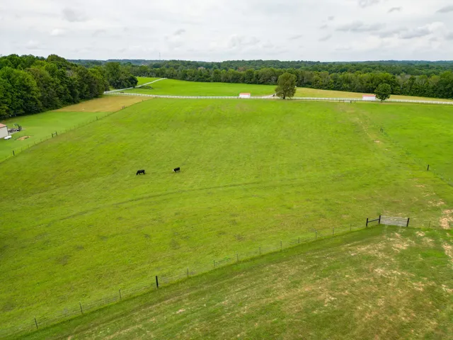 a view of an outdoor space and deck