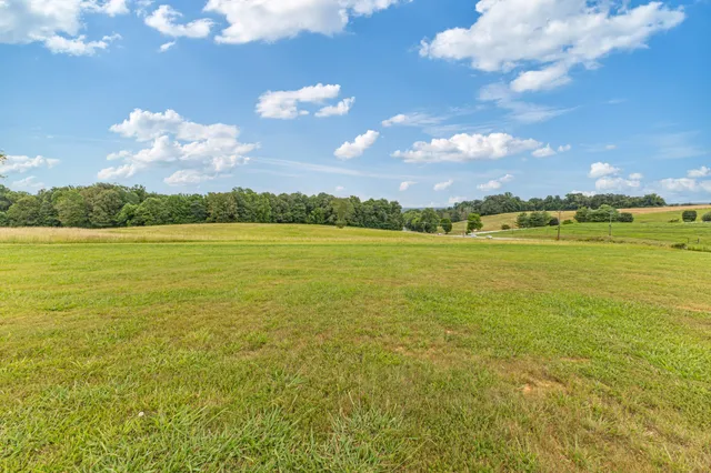 a view of a yard with an outdoor space