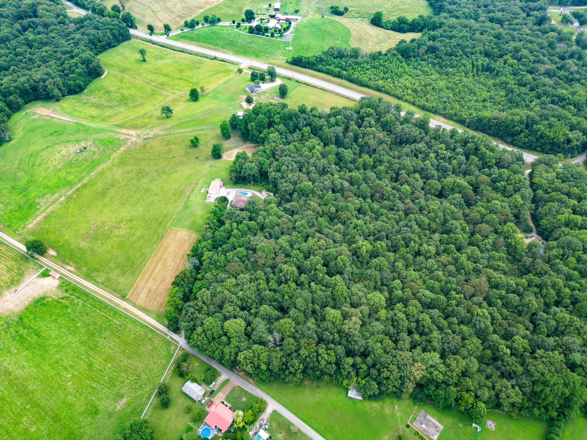 6150 Highway 41 A Pleasant View, TN 37146 - Photo 4 of 34 a view of a yard with a tree