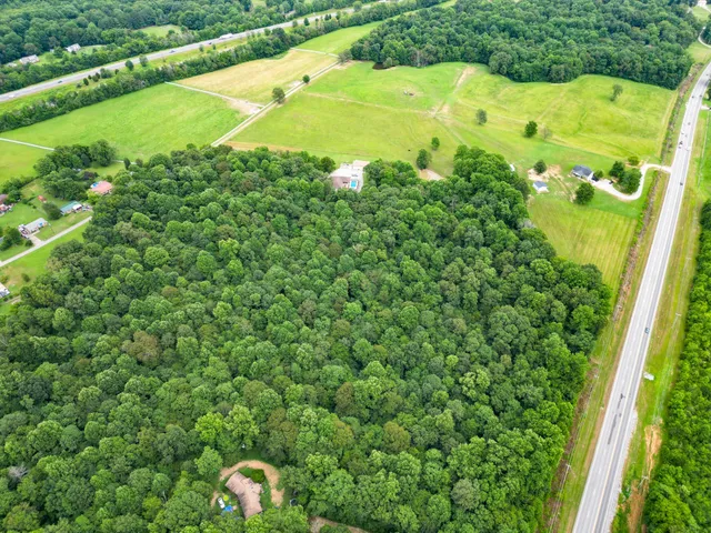 a view of a large garden with plants and large trees