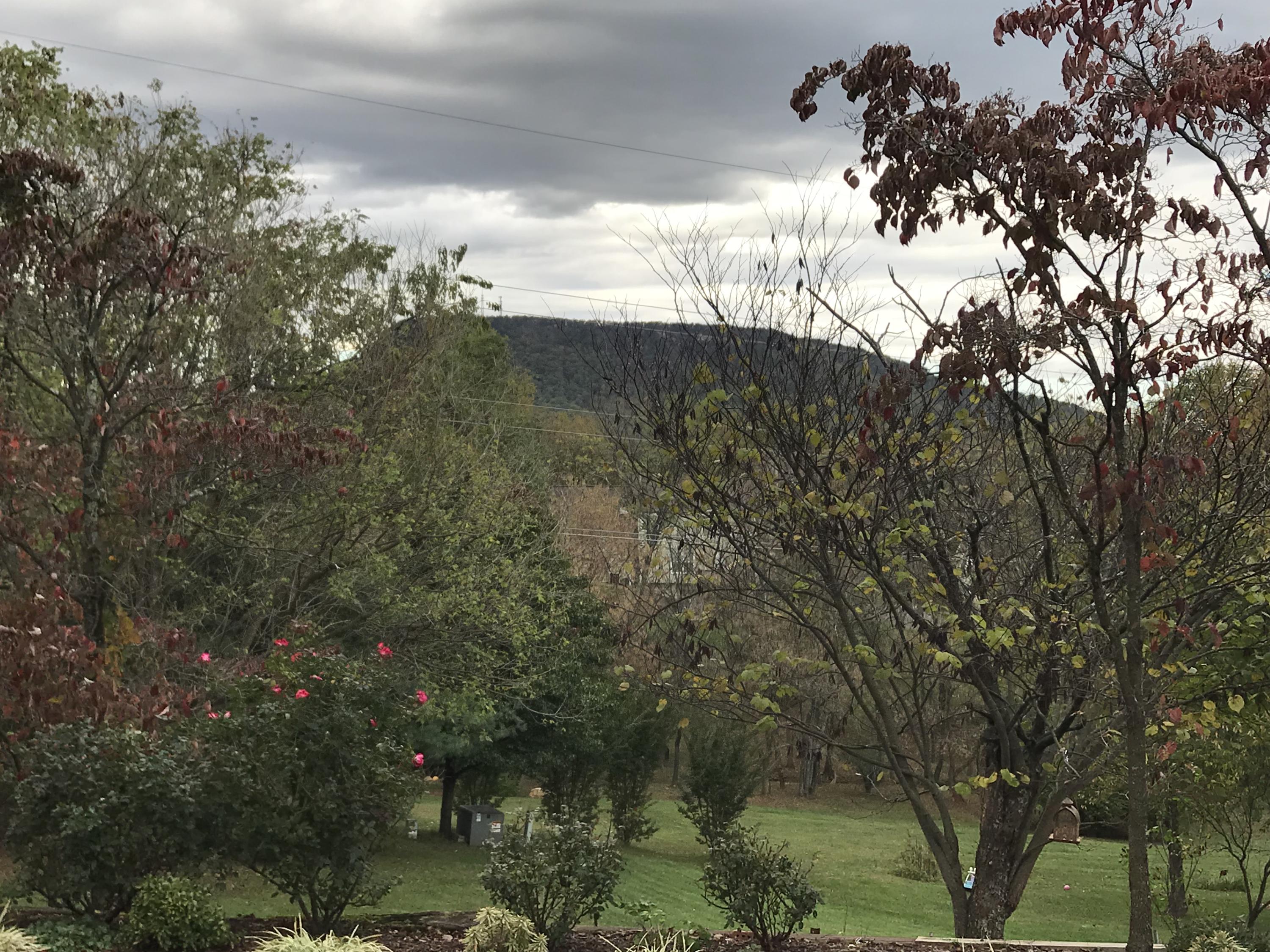 224 Stayman Road Roanoke, VA 24019 - Photo 34 of 41 IMG_5567