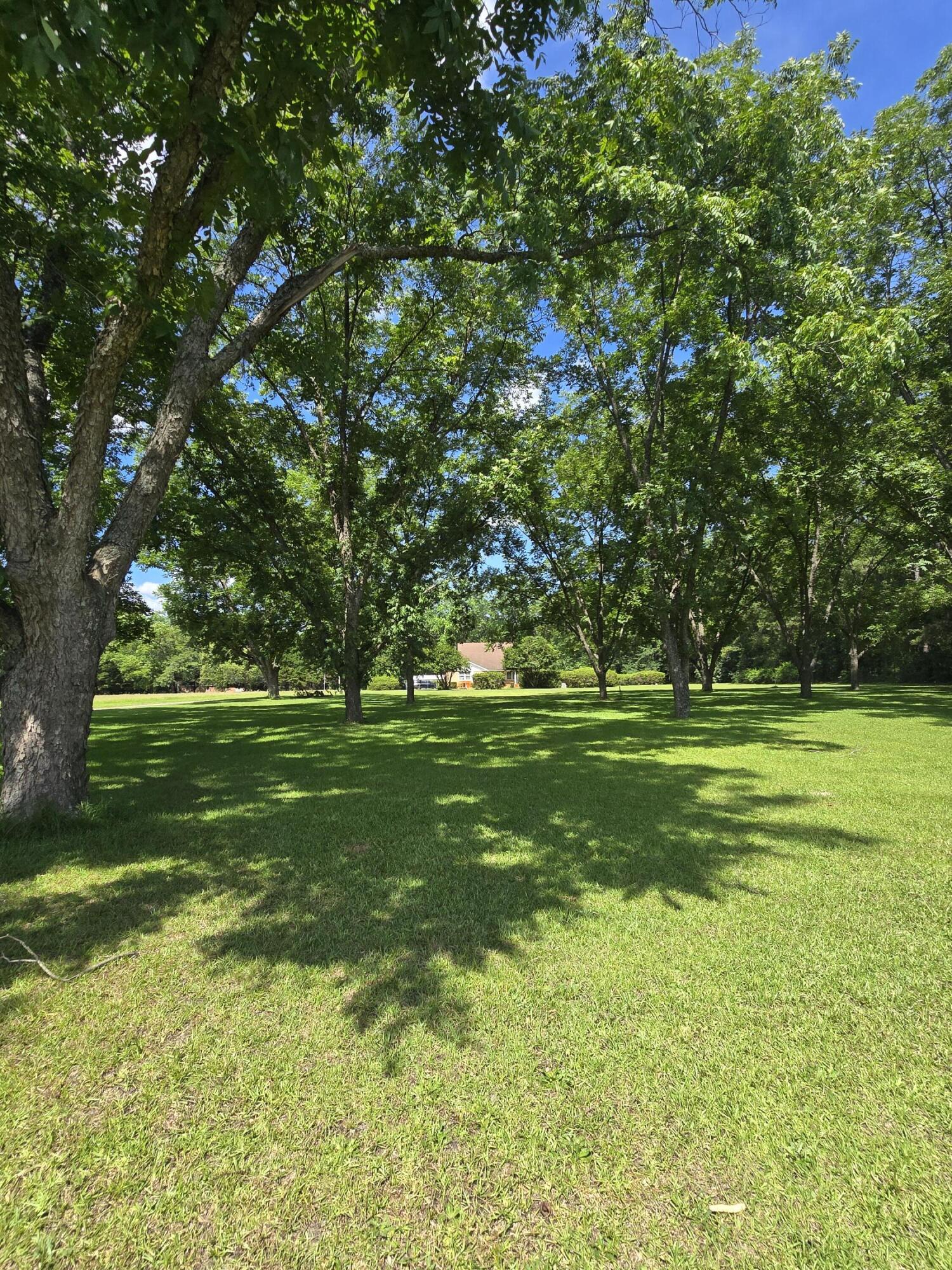 2850 North Main Street Sumter, SC 29153 - Photo 2 of 18 20260624_111303