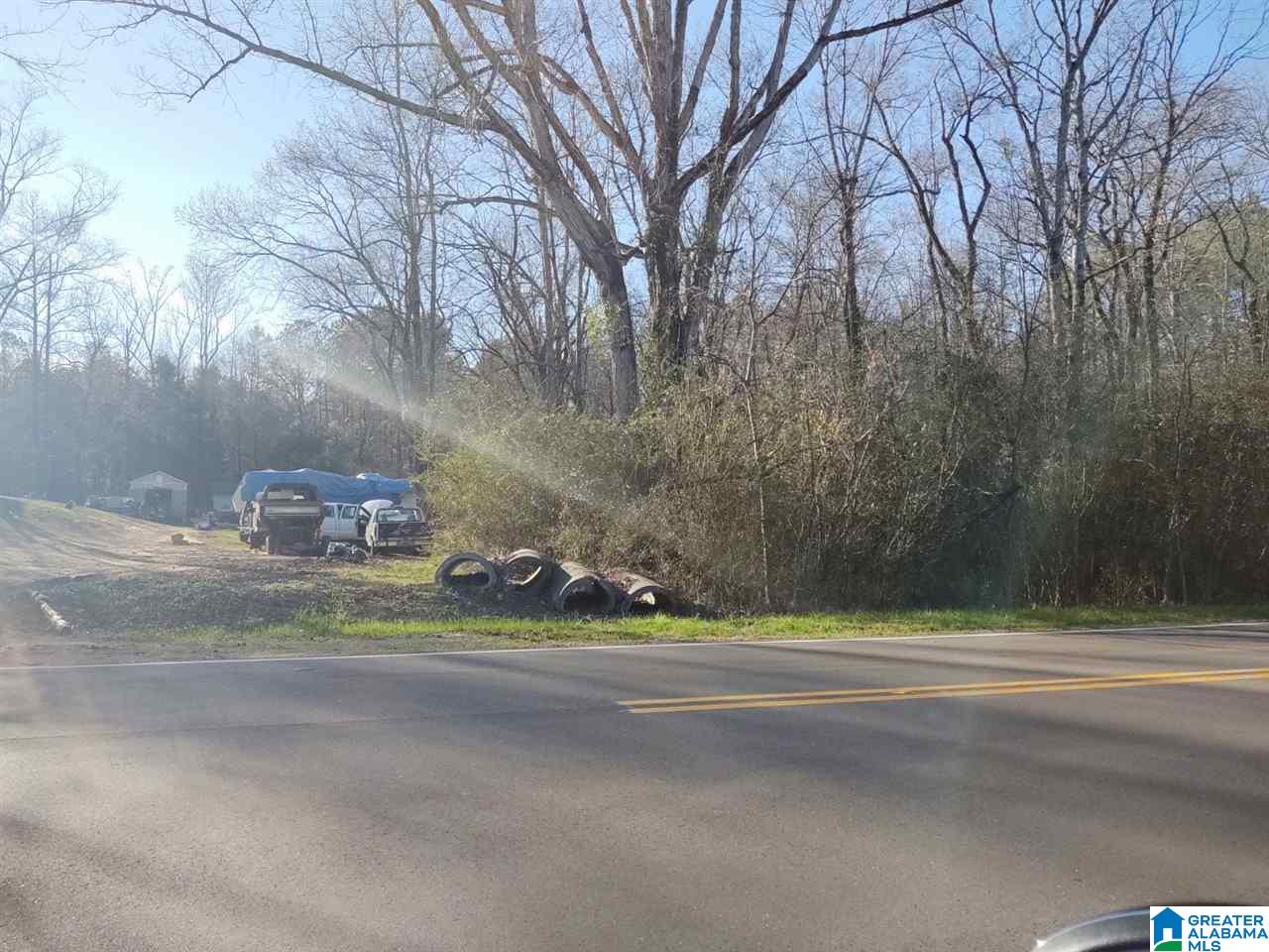 0 Highway 17, Unit 1 Montevallo, AL 35115 - Photo 6 of 7