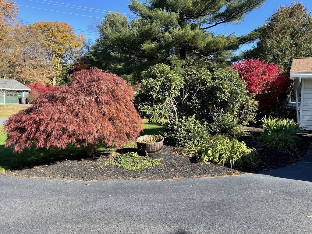 9 Terri Road Framingham, MA 01701 - Photo 18 of 23