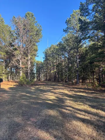 $219,000 | 0 Geneva Highway, Box Springs, GA 31801