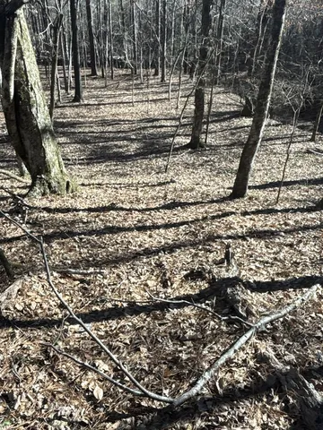 a view of yard with wooden fence
