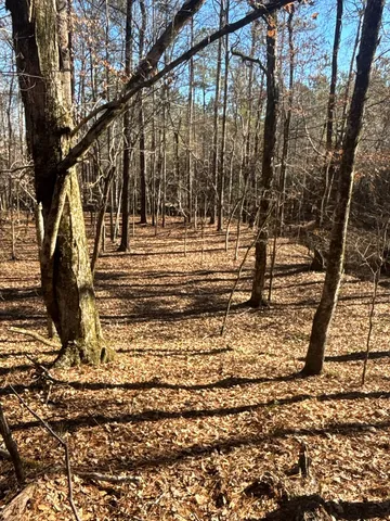 a view of yard with tree